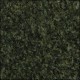 China Green 500